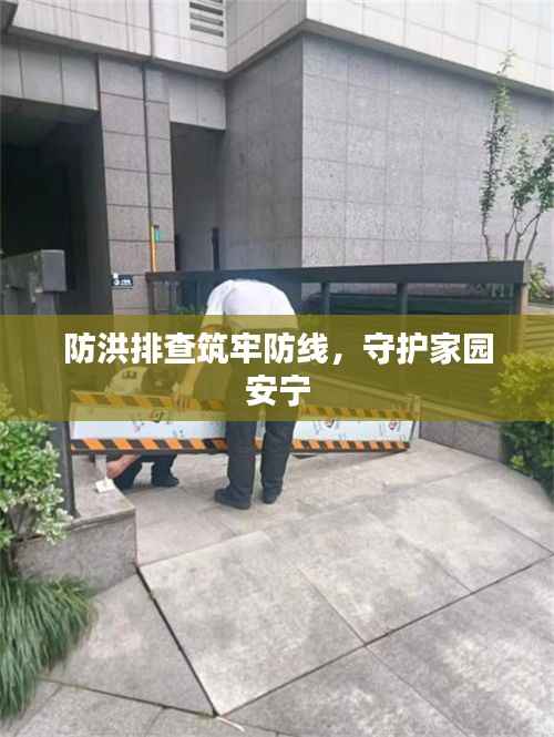 防洪排查筑牢防线,守护家园安宁