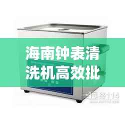 海南钟表清洗机高效批发,专业解决方案引领清洗行业新潮流