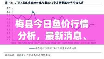 梅县今日鱼价行情分析，最新消息、市场走势与影响因素全解析
