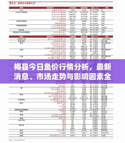 梅县今日鱼价行情分析,最新消息、市场走势与影响因素全解析