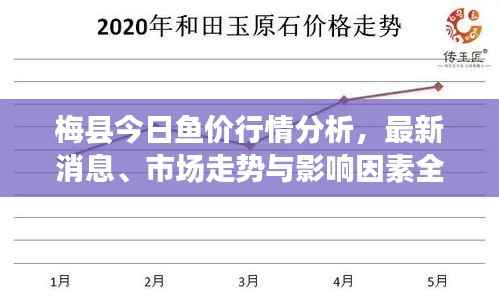 梅县今日鱼价行情分析,最新消息、市场走势与影响因素全解析