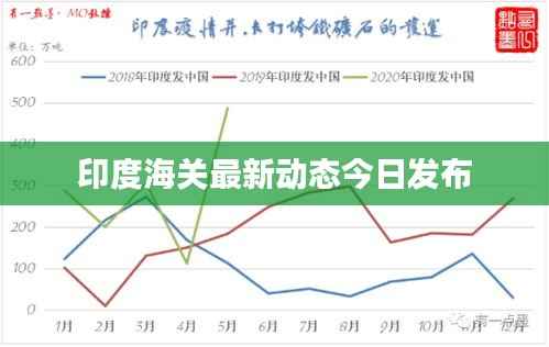 印度海关最新动态今日发布