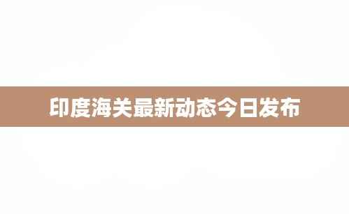 印度海关最新动态今日发布