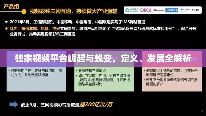 独家视频平台崛起与蜕变,定义、发展全解析