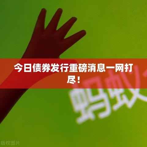 今日债券发行重磅消息一网打尽！