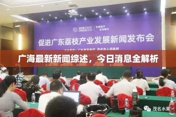 广海最新新闻综述，今日消息全解析