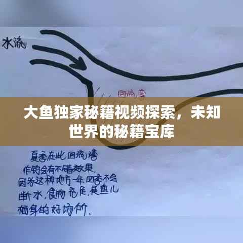 大鱼独家秘籍视频探索,未知世界的秘籍宝库