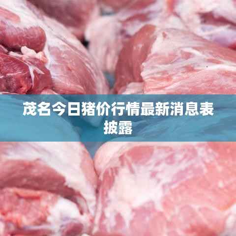 茂名今日猪价行情最新消息表披露
