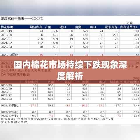 国内棉花市场持续下跌现象深度解析