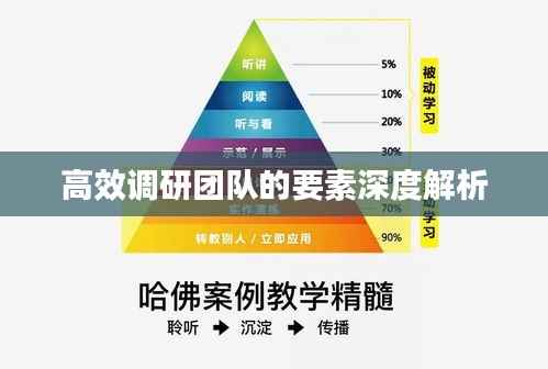 高效调研团队的要素深度解析