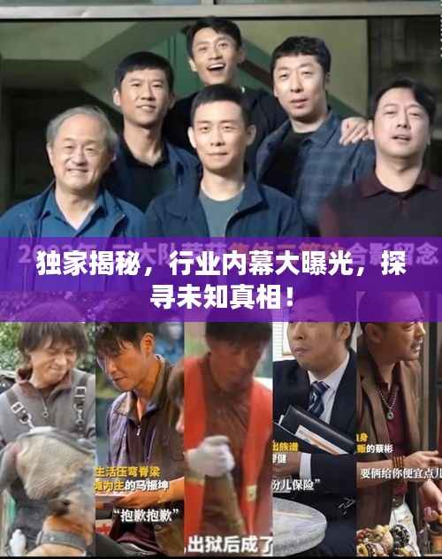 独家揭秘，行业内幕大曝光，探寻未知真相！