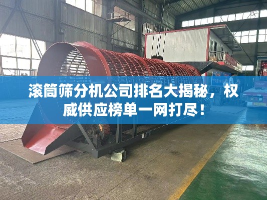 滚筒筛分机公司排名大揭秘，权威供应榜单一网打尽！