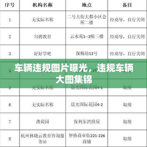 车辆违规图片曝光,违规车辆大图集锦