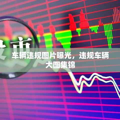 车辆违规图片曝光,违规车辆大图集锦