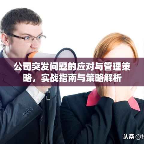 公司突发问题的应对与管理策略,实战指南与策略解析