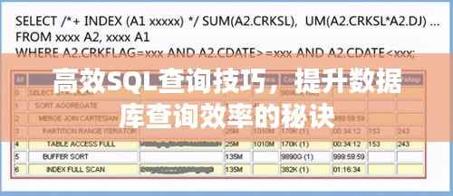 高效SQL查询技巧,提升数据库查询效率的秘诀