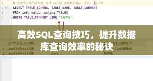 高效SQL查询技巧,提升数据库查询效率的秘诀