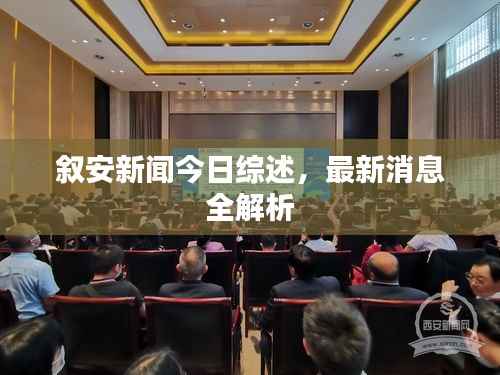 叙安新闻今日综述,最新消息全解析