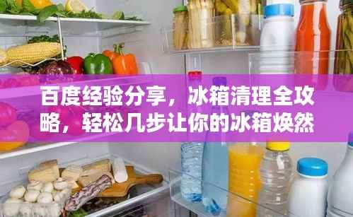 百度经验分享，冰箱清理全攻略，轻松几步让你的冰箱焕然一新！