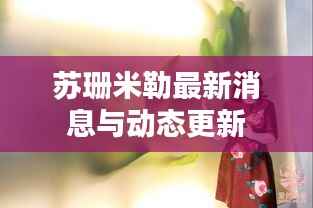 苏珊米勒最新消息与动态更新