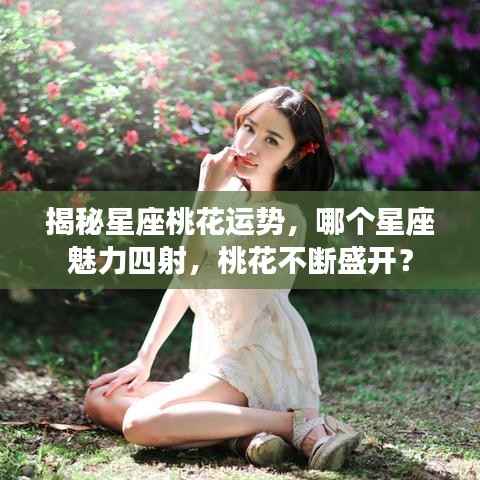 揭秘星座桃花运势,哪个星座魅力四射,桃花不断盛开?