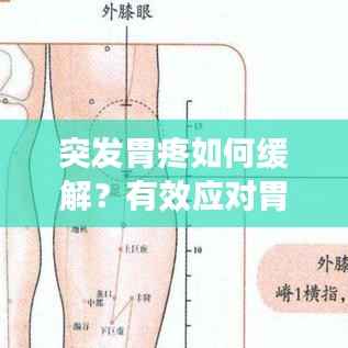 突发胃疼如何缓解?有效应对胃痛的妙招!