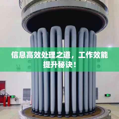 信息高效处理之道，工作效能提升秘诀！