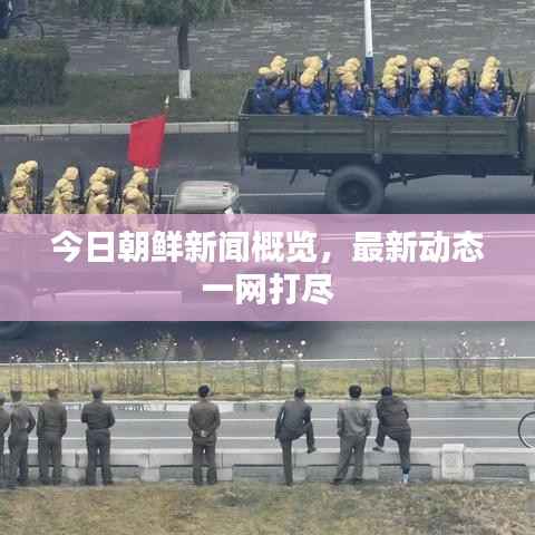 今日朝鲜新闻概览,最新动态一网打尽