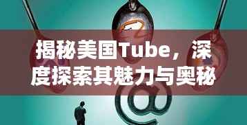 揭秘美国Tube，深度探索其魅力与奥秘（百度收录）