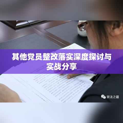 其他党员整改落实深度探讨与实战分享