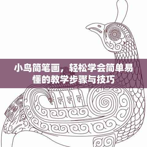 小鸟简笔画,轻松学会简单易懂的教学步骤与技巧