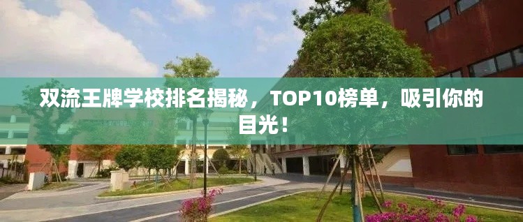 双流王牌学校排名揭秘,TOP10榜单,吸引你的目光!