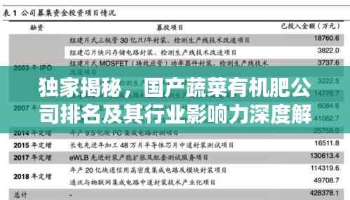 独家揭秘，国产蔬菜有机肥公司排名及其行业影响力深度解析