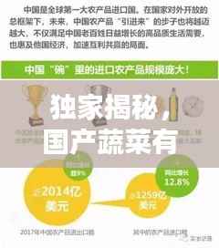 独家揭秘,国产蔬菜有机肥公司排名及其行业影响力深度解析