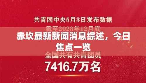 赤坎最新新闻消息综述,今日焦点一览