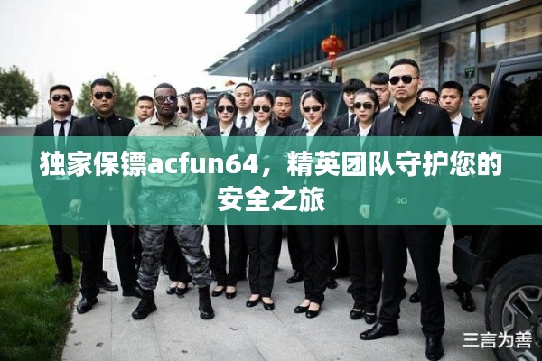 独家保镖acfun64,精英团队守护您的安全之旅