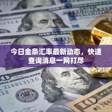 今日金条汇率最新动态，快速查询消息一网打尽