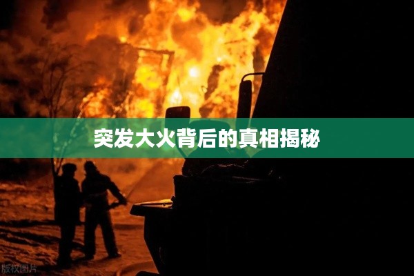 突发大火背后的真相揭秘