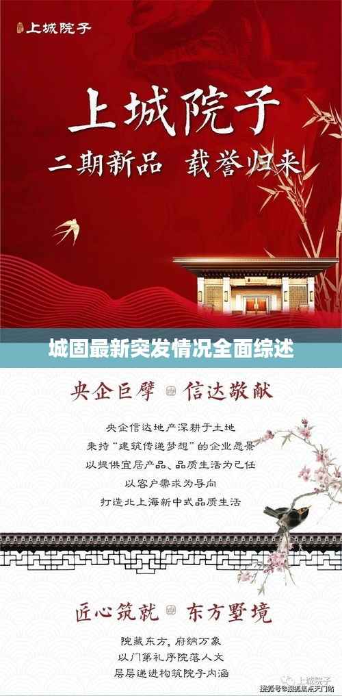 城固最新突发情况全面综述