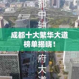 东张西望 第4页