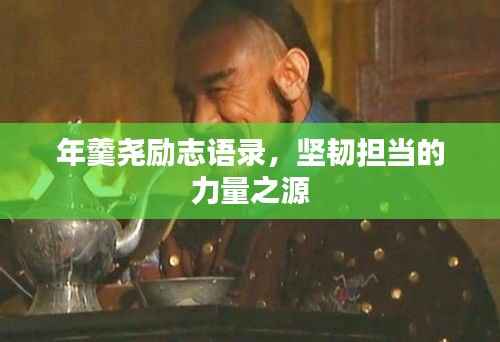 年羹尧励志语录,坚韧担当的力量之源