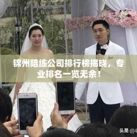 锦州陪练公司排行榜揭晓,专业排名一览无余!