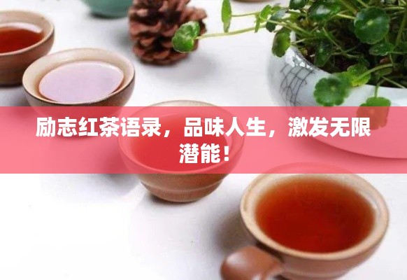 励志红茶语录,品味人生,激发无限潜能!