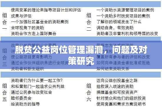 脱贫公益岗位管理漏洞,问题及对策研究