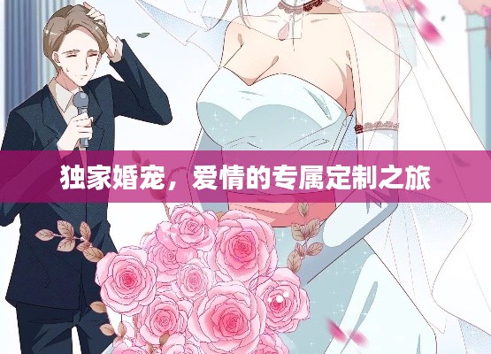 独家婚宠,爱情的专属定制之旅