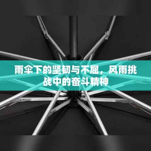 雨伞下的坚韧与不屈,风雨挑战中的奋斗精神