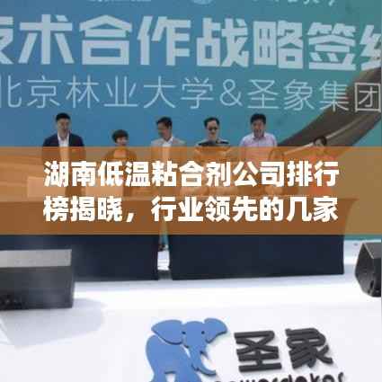 湖南低温粘合剂公司排行榜揭晓，行业领先的几家企业
