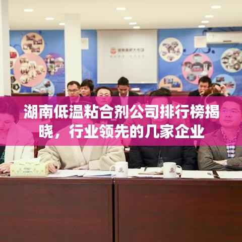 湖南低温粘合剂公司排行榜揭晓,行业领先的几家企业