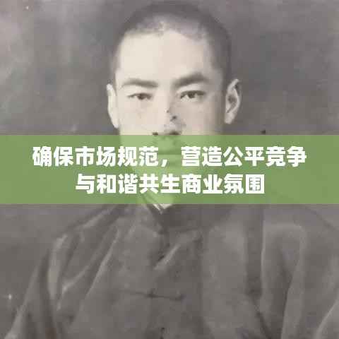 确保市场规范，营造公平竞争与和谐共生商业氛围