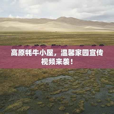 高原牦牛小屋，温馨家园宣传视频来袭！